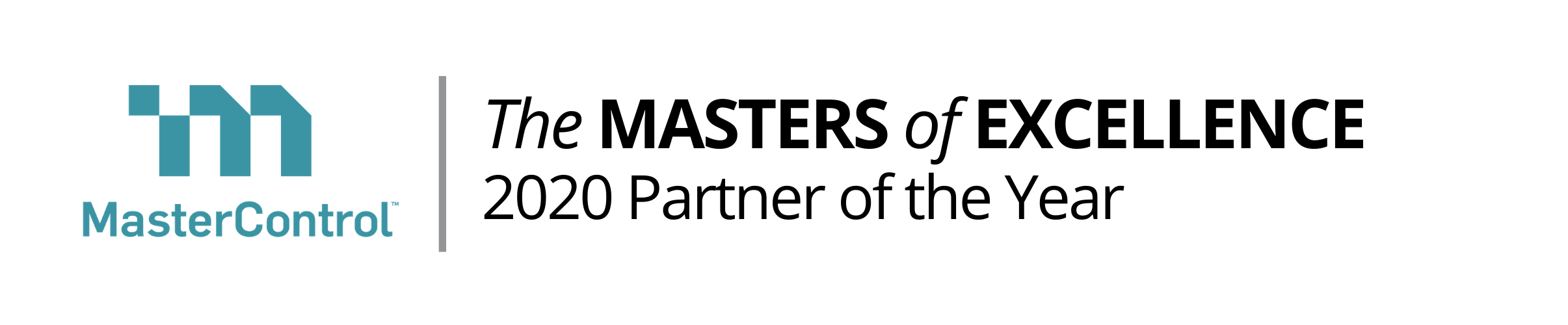 The MASTERS of EXCELLENCE 2020 Partner of the Year